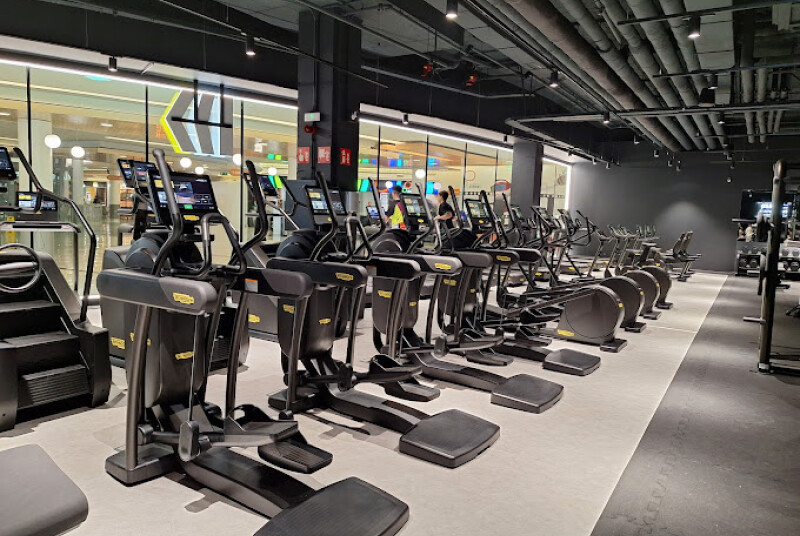 🏋️ Los Mejores Gimnasios de Vigo en 2025: ¿Cuál Elegir Según Tus Necesidades?
